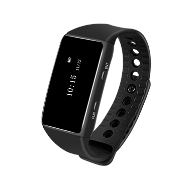 Bracelet portable receiver APE6700