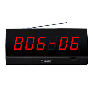 Screen display receiver APE2900X